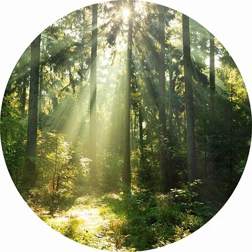 Natuurlijk licht